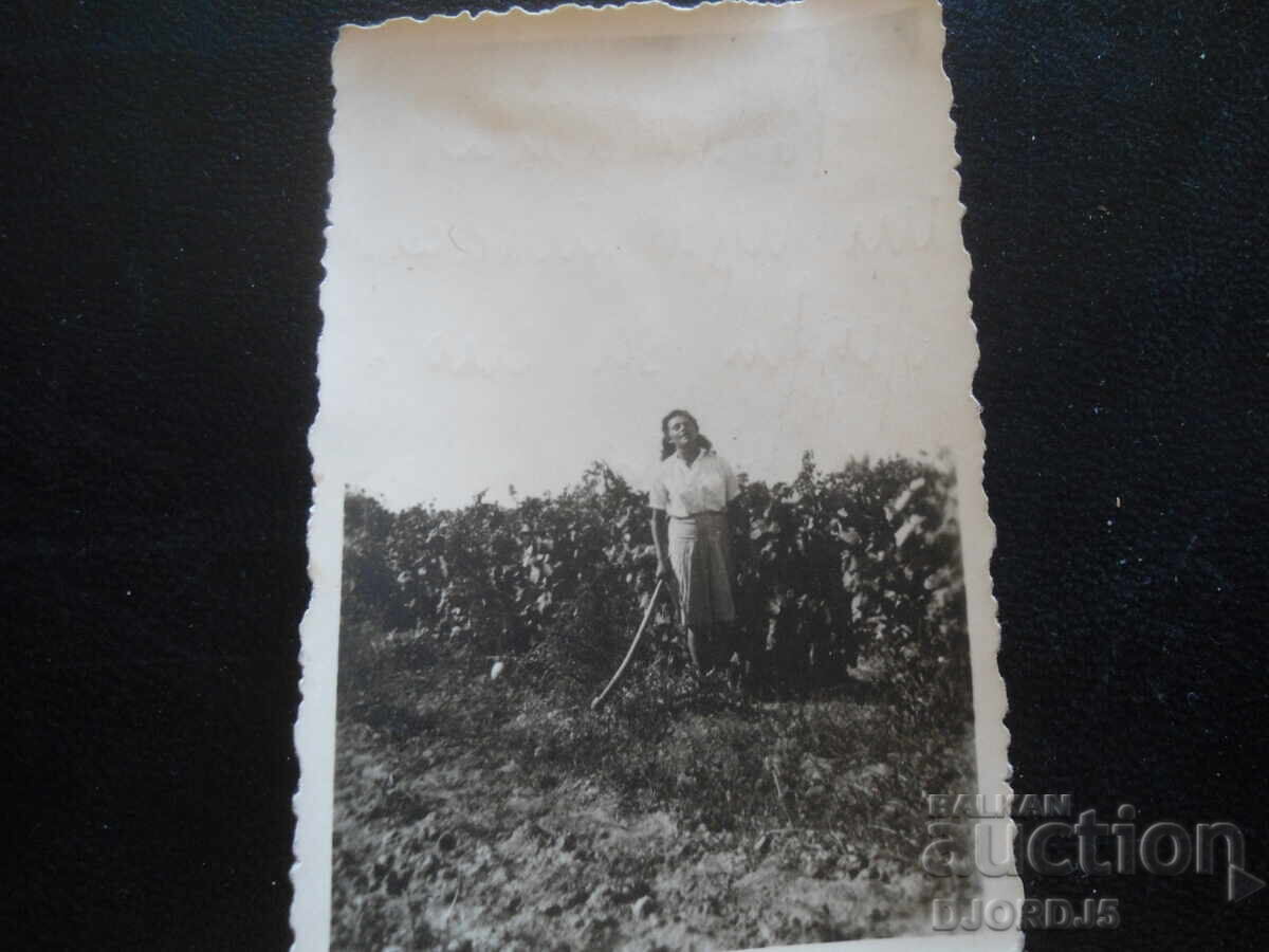 Old photo, 4.IX.1943 year with price 0.50 BGN | € 0.26