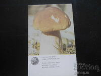 Calendar vechi, 1986, regiunea Gribņi a RSS Letone