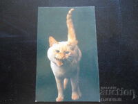 Calendar vechi rusesc, 1993