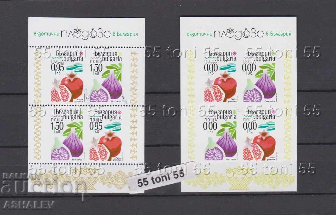 2025 Floră Fructe Exotice bloc+zero**