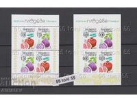 2025 Flora Exotic Fruits Block + Zero**