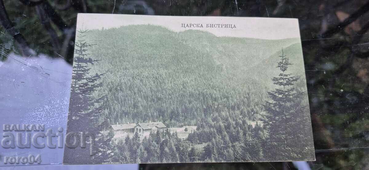 CARSCA BISTRIȚA - IVAN KARASTOYANOV - 7