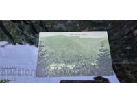 CARSCA BISTRIȚA - IVAN KARASTOYANOV