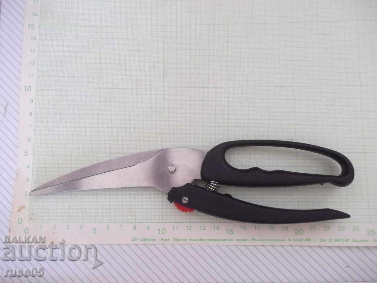 Auction  "Vilde" Kitchen Scissors, Steel, for Poultry