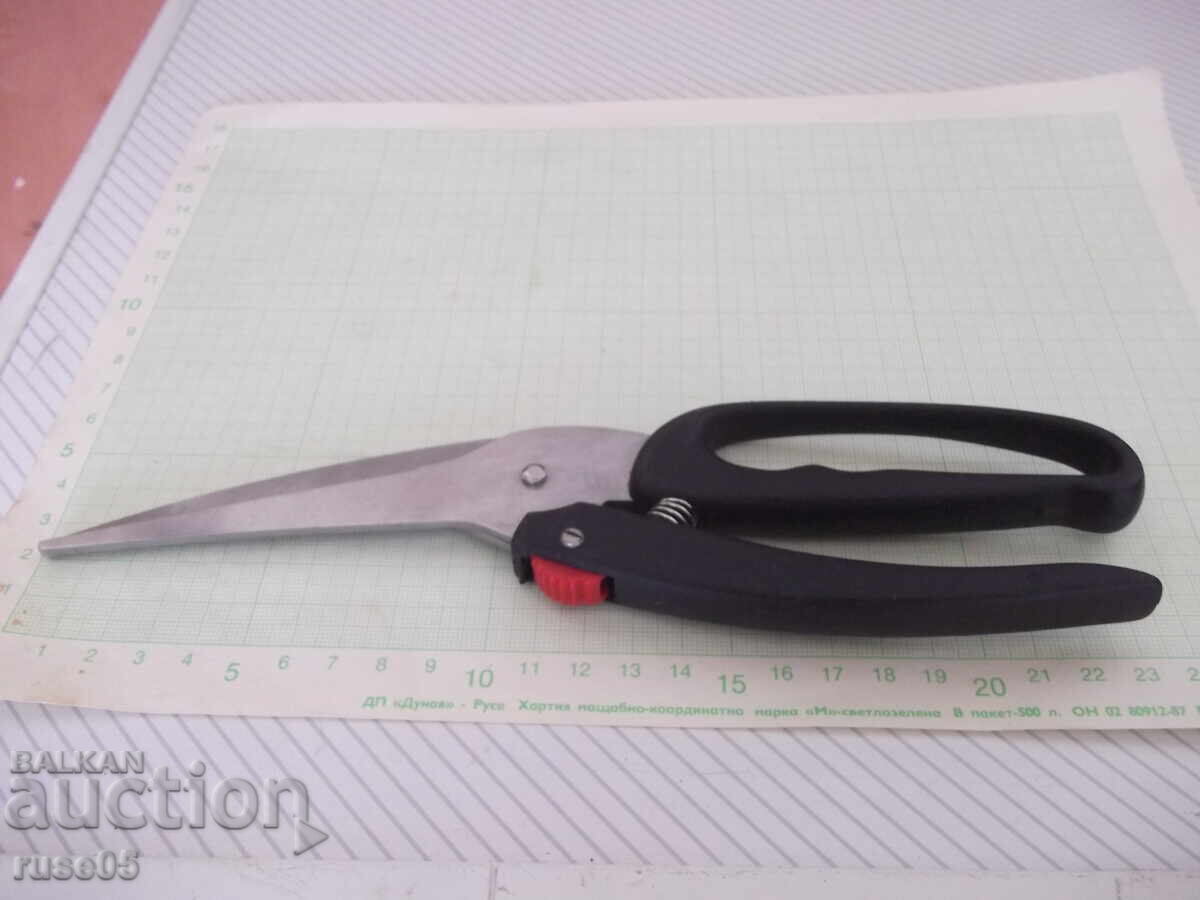 Delivery of "Vilde" Kitchen Scissors, Steel, for Poultry