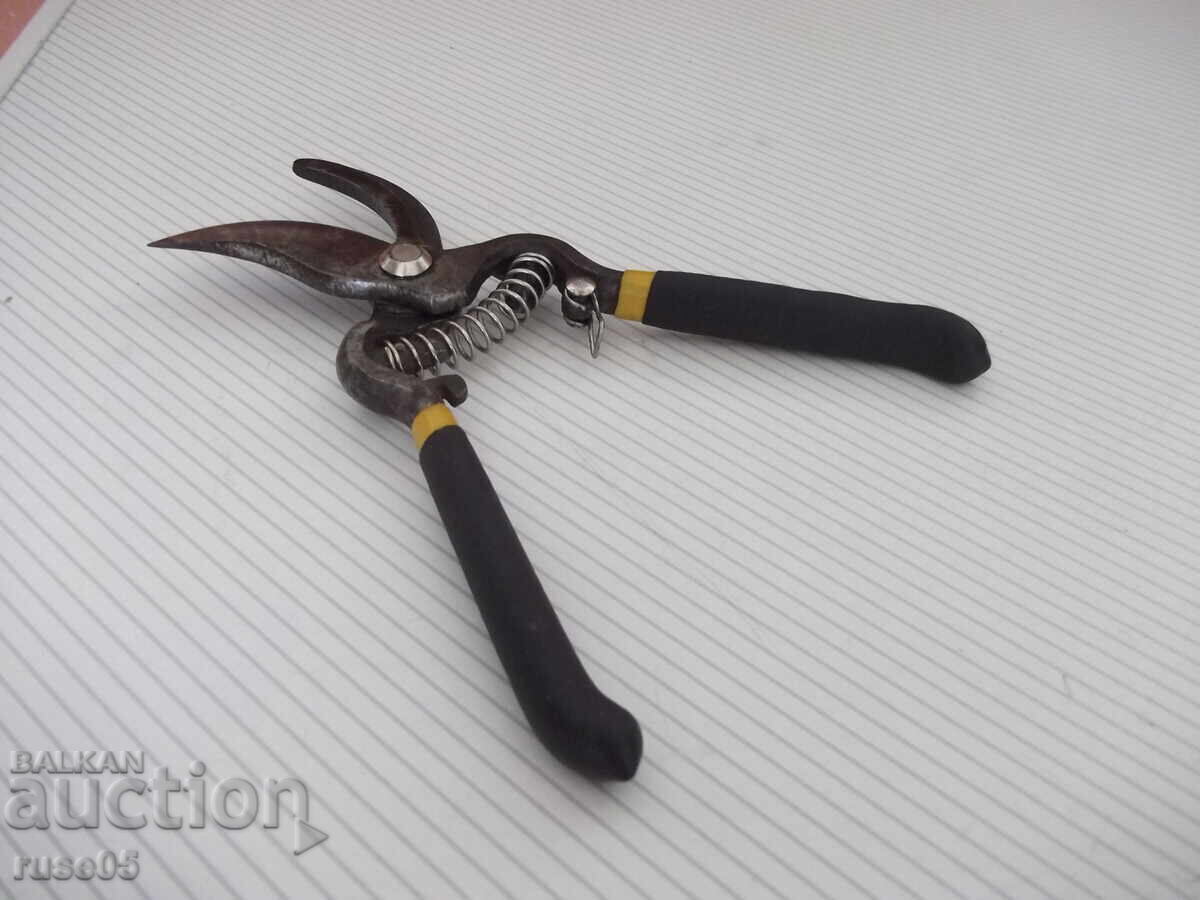 Delivery of Pruning shears - 2