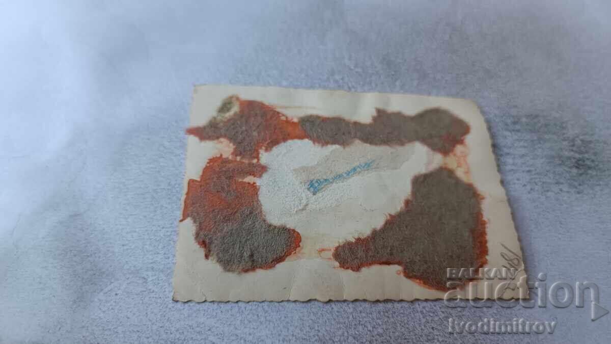 Photo Sofia Girl in front of MACEDONIA store with price 6.75 BGN | € 3.45