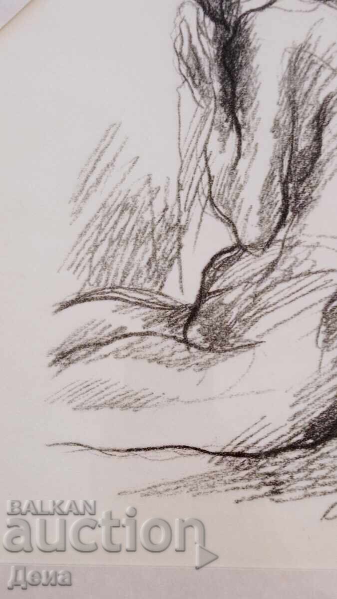 Γραφικά του Svetlin Rusev 2015 - 5