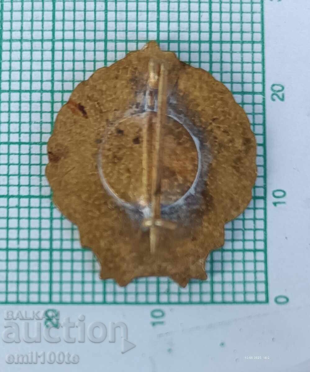 Livrarea Ecuson - Producător de mașini industriale DIGEP Ungaria Livrarea Ecuson - Producător de mașini industriale DIGEP Ungaria