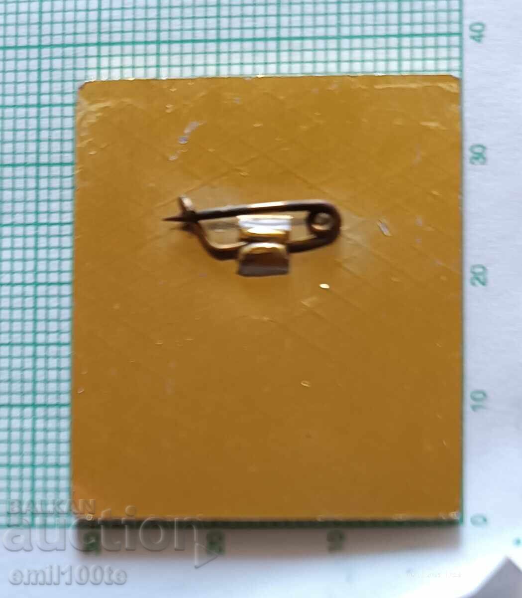 Доставка на Значка- Българска федерация по ски Доставка на Значка- Българска федерация по ски