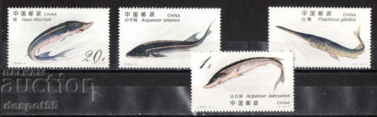 1994. China. Sturgeon fish.