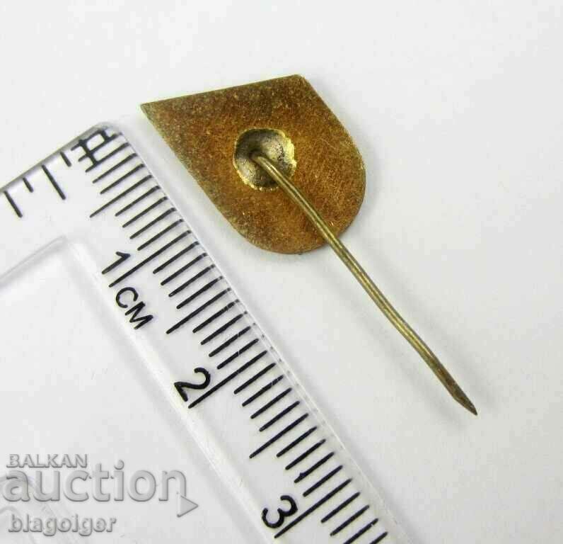 Licitație Ecusoane de fotbal rare-FC Levski Kyustendil-E-mail