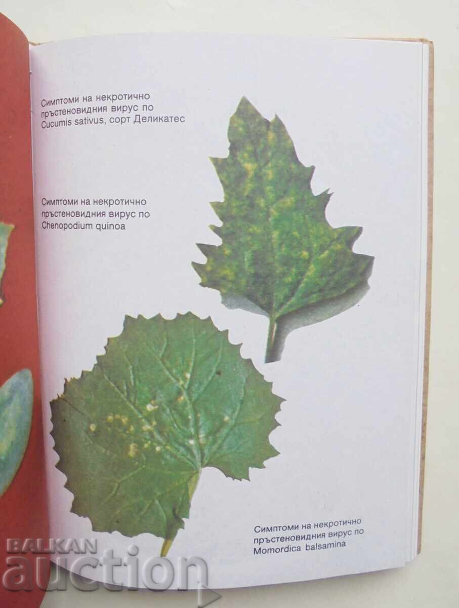 Avant-garde technologies in agriculture, 1986 with price 13.00 BGN | € 6.65 Avant-garde technologies in agriculture, 1986 with price 13.00 BGN | € 6.65