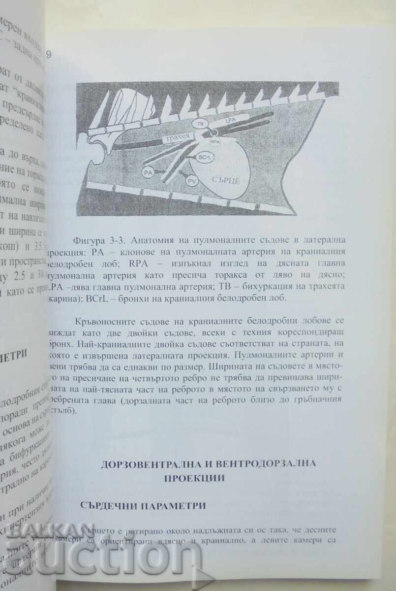 Delivery of Veterinary Radiology - Bogdan Aminkov 2007 Delivery of Veterinary Radiology - Bogdan Aminkov 2007