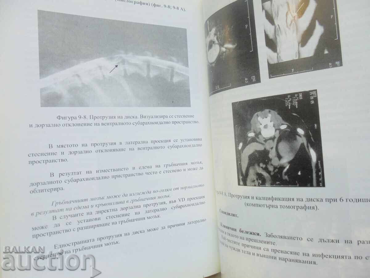 Veterinary Radiology - Bogdan Aminkov 2007 - 5 Veterinary Radiology - Bogdan Aminkov 2007 - 5