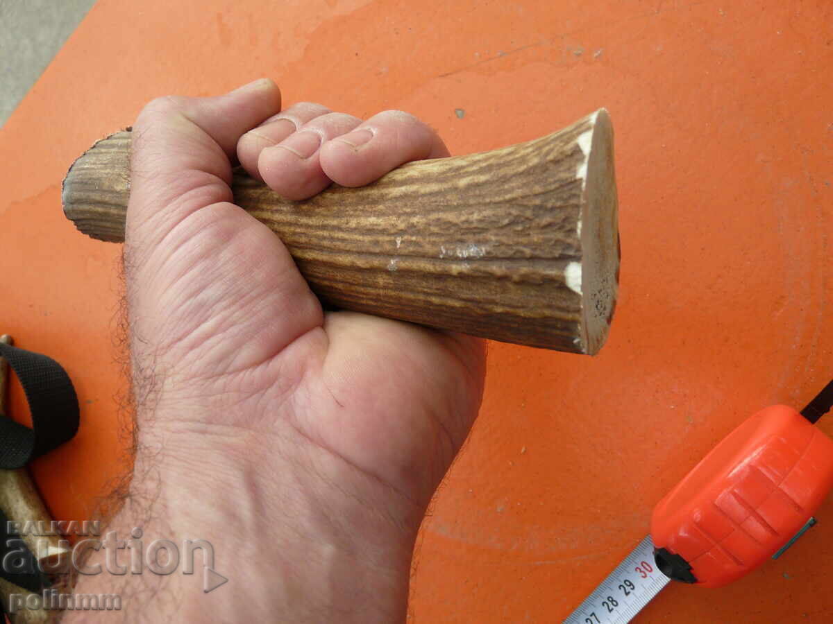 Bucată de corn de cerb pentru mâner de cuțit - 3 cu preț 30.00 BGN | € 15.34 Bucată de corn de cerb pentru mâner de cuțit - 3 cu preț 30.00 BGN | € 15.34