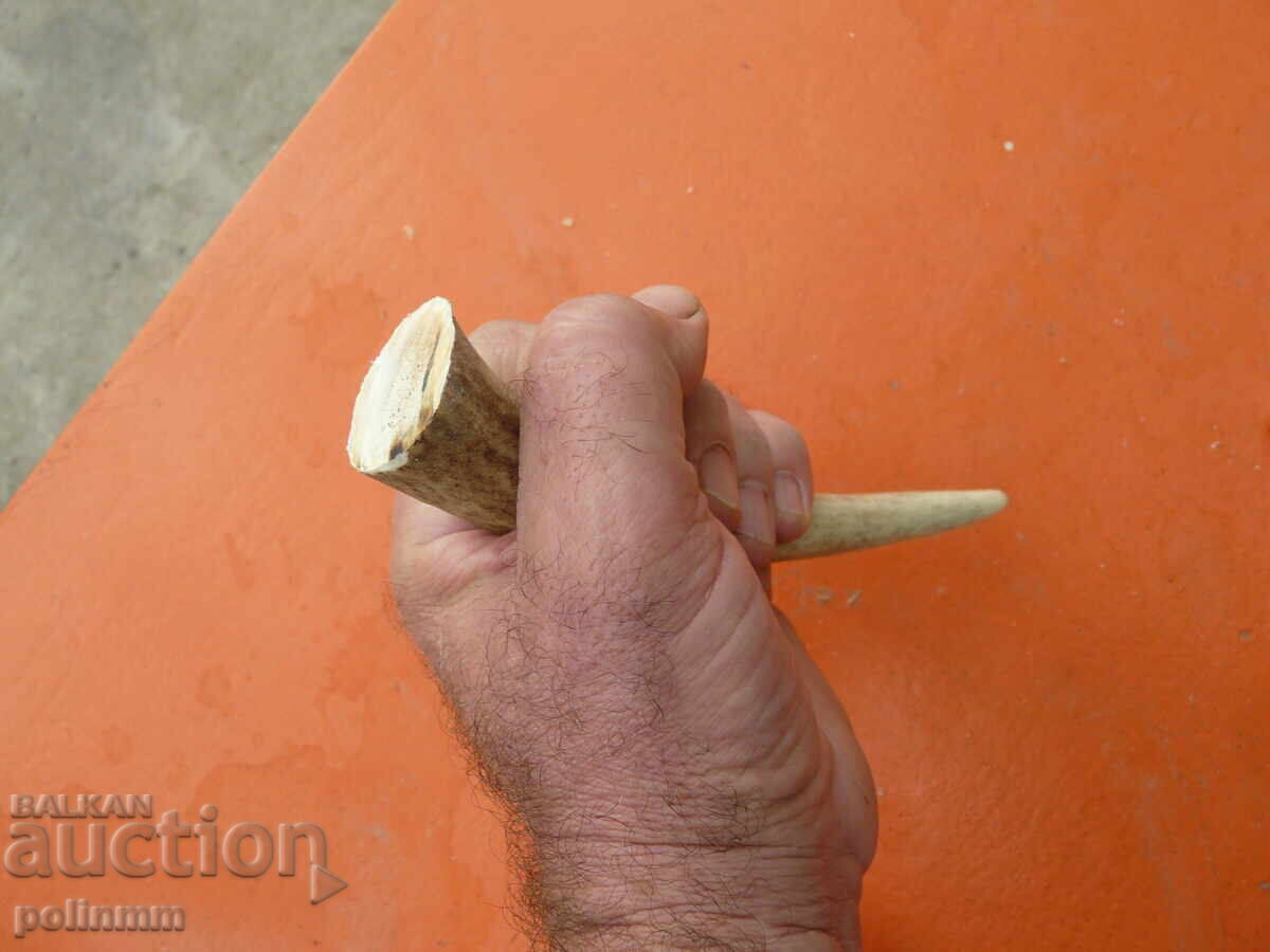 Bucată corn de cerb pentru mâner cuțit - 5 cu preț 20.00 BGN | € 10.23 Bucată corn de cerb pentru mâner cuțit - 5 cu preț 20.00 BGN | € 10.23