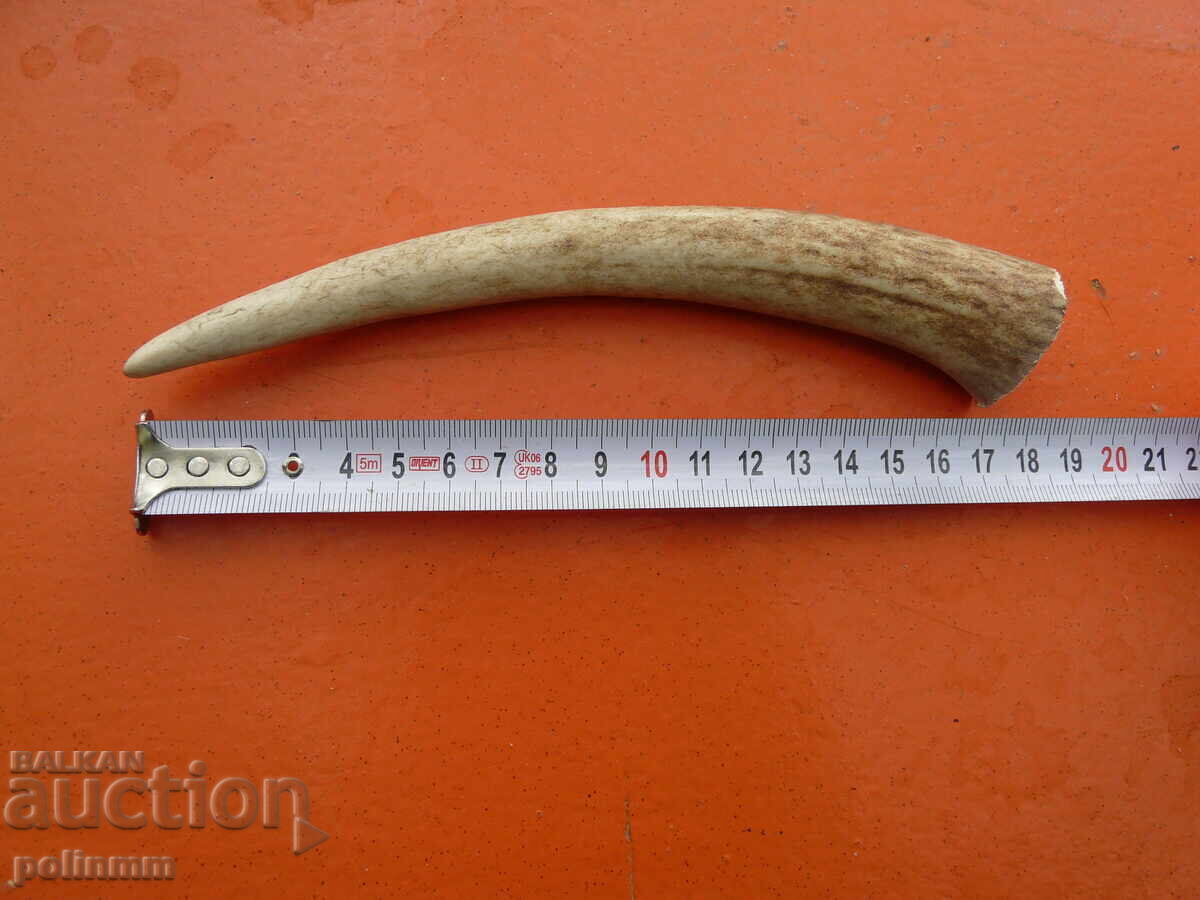 Bucată corn de cerb pentru mâner cuțit - 5 Bucată corn de cerb pentru mâner cuțit - 5