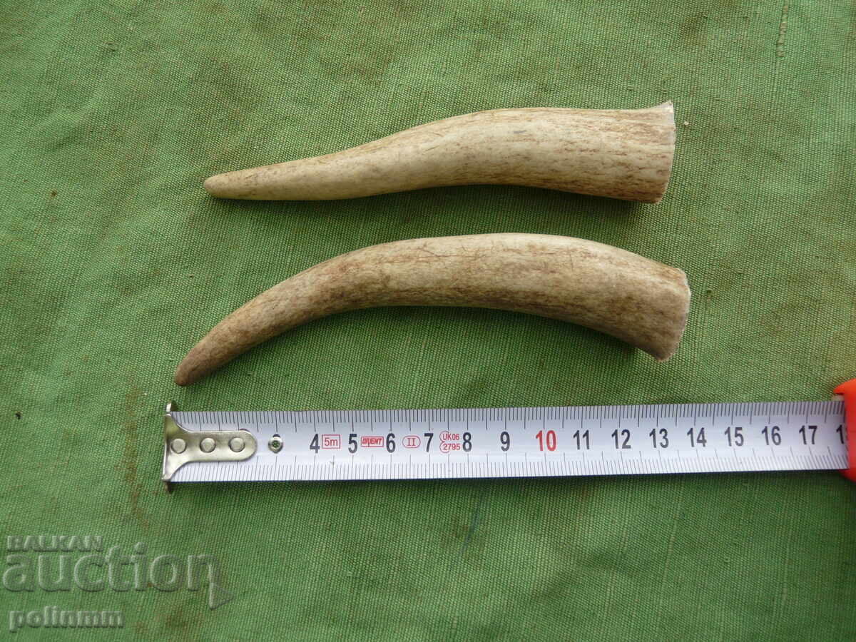 Pieces of deer antler for a jay's handle Pieces of deer antler for a jay's handle