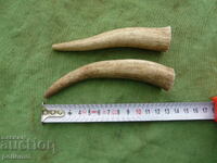 Pieces of deer antler for a jay's handle