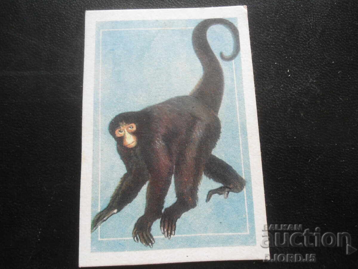 Old calendar, 1988, KAČULAT GIBON