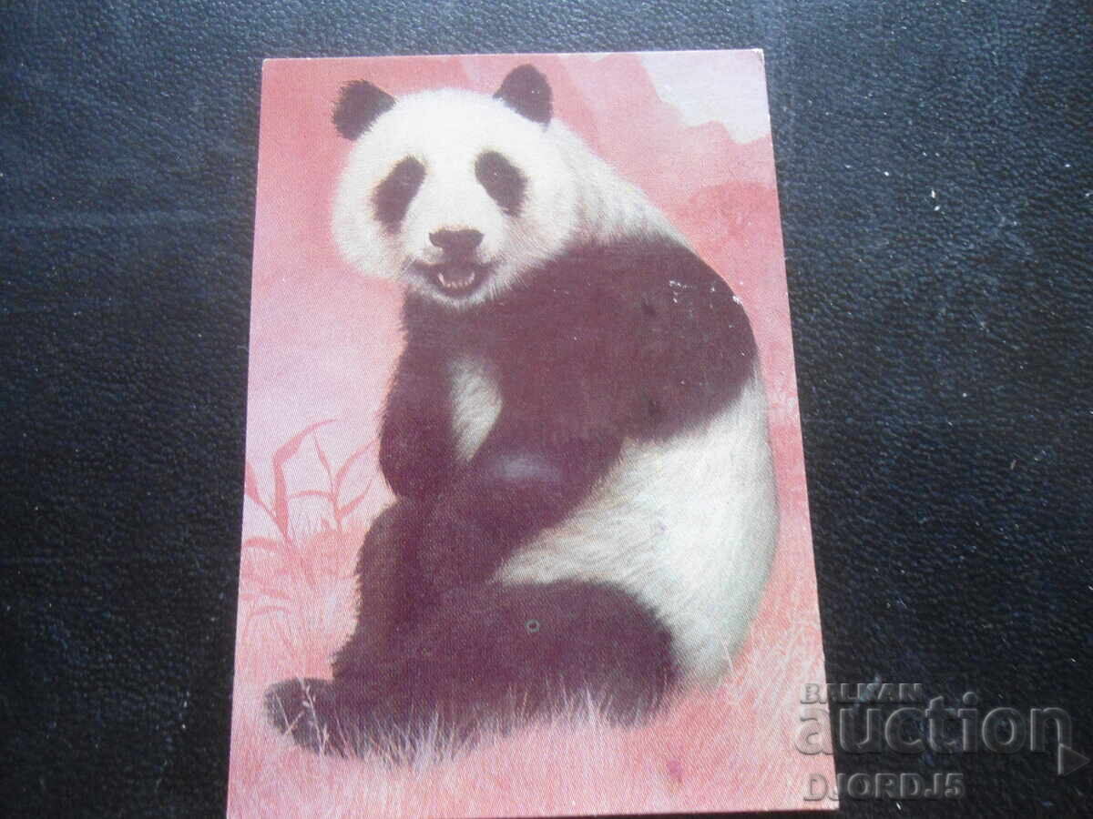 Παλιό ημερολόγιο, 1979, Πάντα