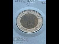 1 liră sterlină 2008 Egipt