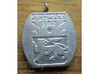 Medallion "Kardzhali"