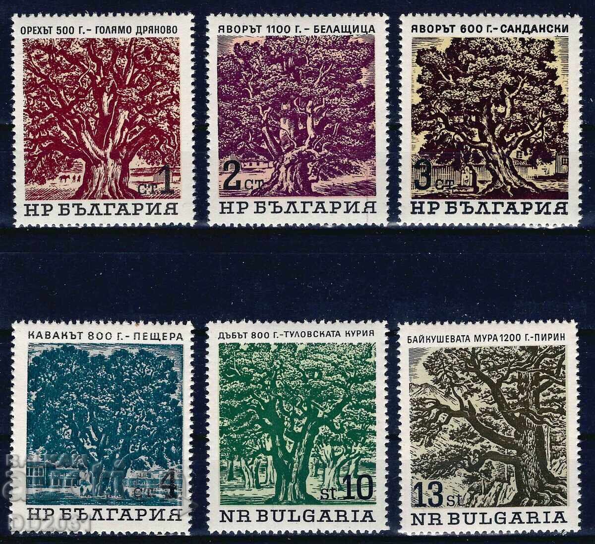 Bulgaria 1964 - Trees MNH