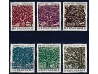 Bulgaria 1964 - Trees MNH