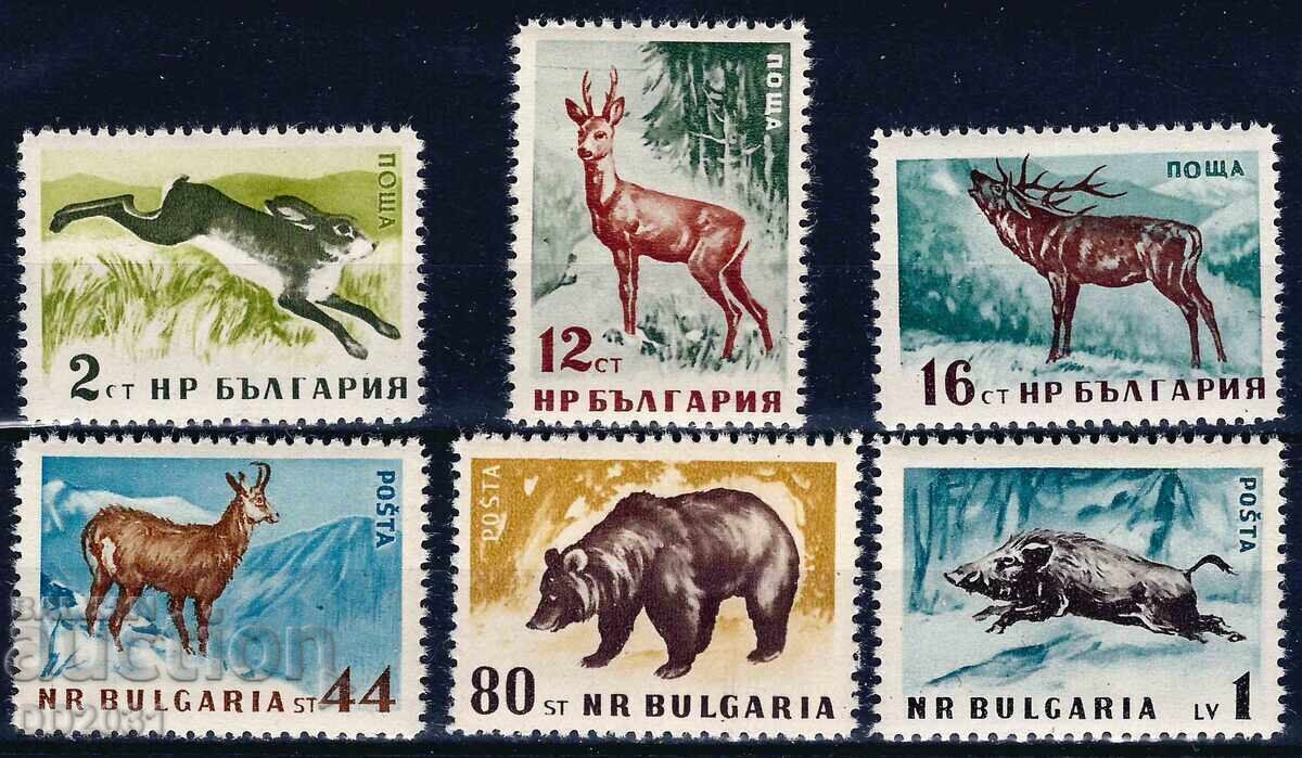 Bulgaria 1958 - animale de pădure MNH