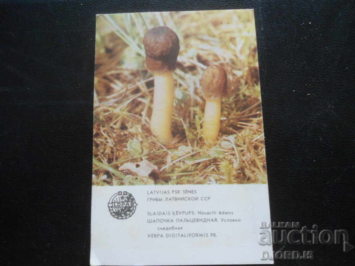 Old Russian calendar, 1986, Gribi, Latvian SSR