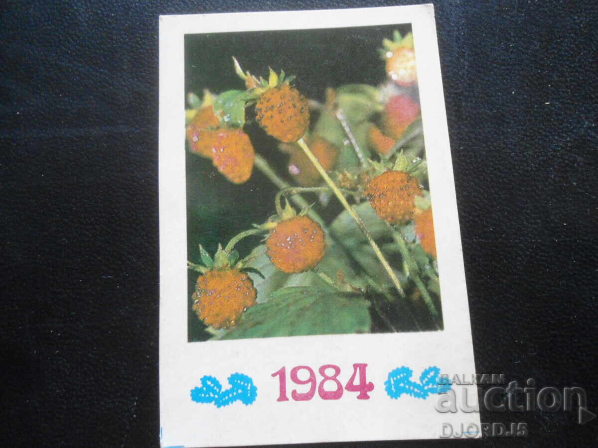 Παλιό ημερολόγιο, 1984, "Radyans’ka Ukraĭna"