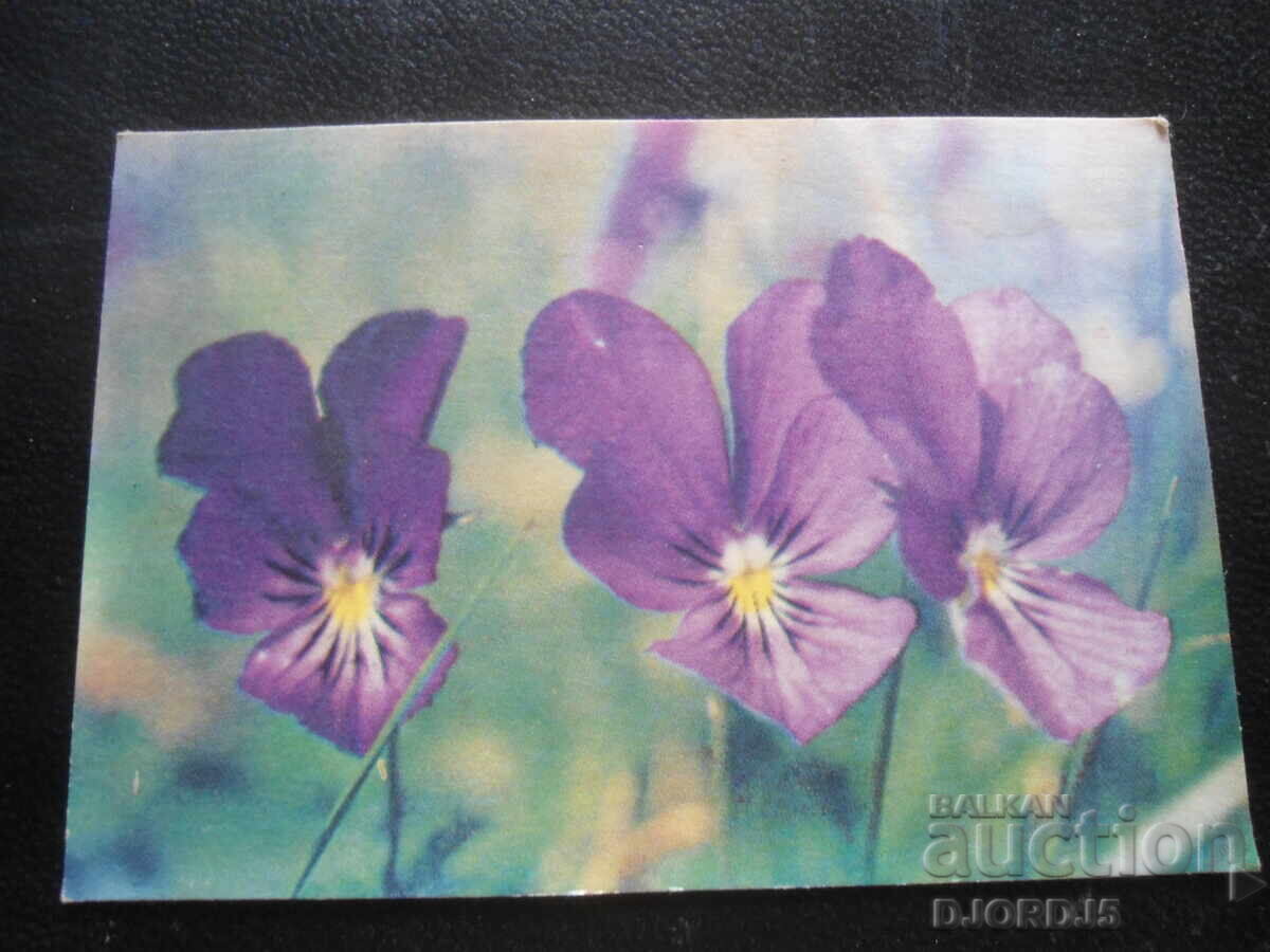 Старо българско календарче, 1986 г.