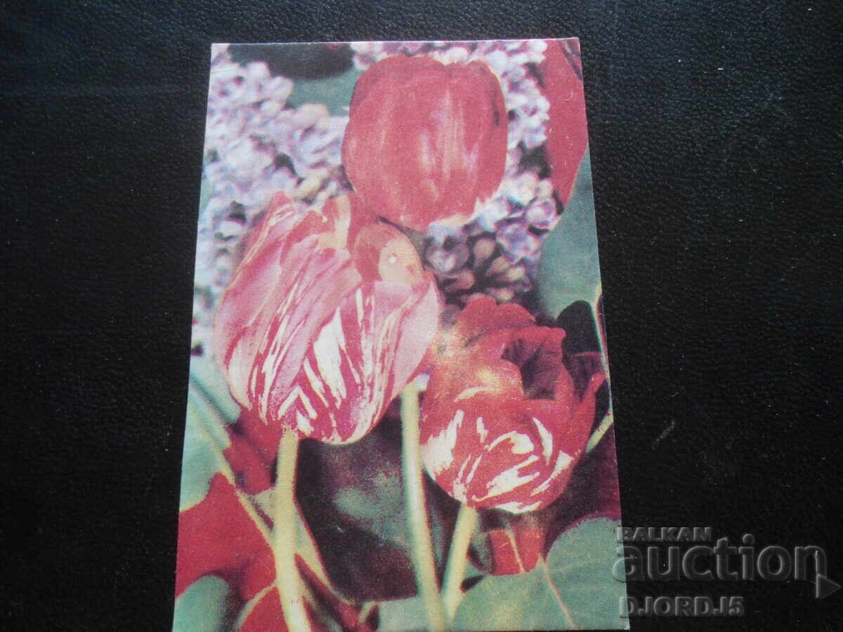 Old Bulgarian Calendar, 1986