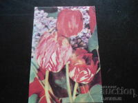 Παλιό βουλγαρικό ημερολόγιο, 1986