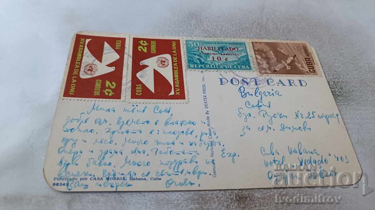 Postcard Habana, CUBA with price 0.95 BGN | € 0.49 Postcard Habana, CUBA with price 0.95 BGN | € 0.49