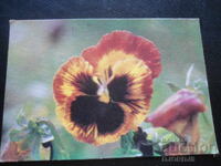 Παλιό βουλγαρικό ημερολόγιο, 1986