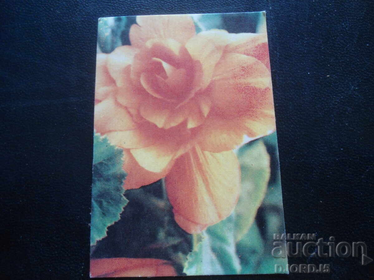 Старо българско календарче, 1986 г.