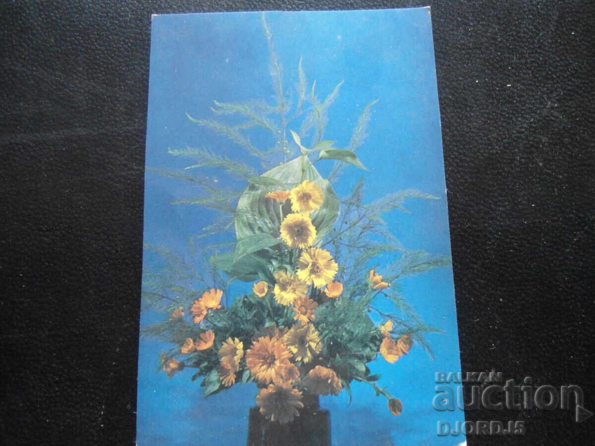 Старо календарче, 1988 г., Бълг. сп. тоализатор,Михайловград