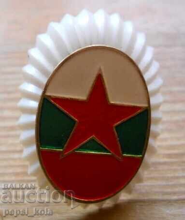 Σημαία αξιωματικού - ΒΝΑ