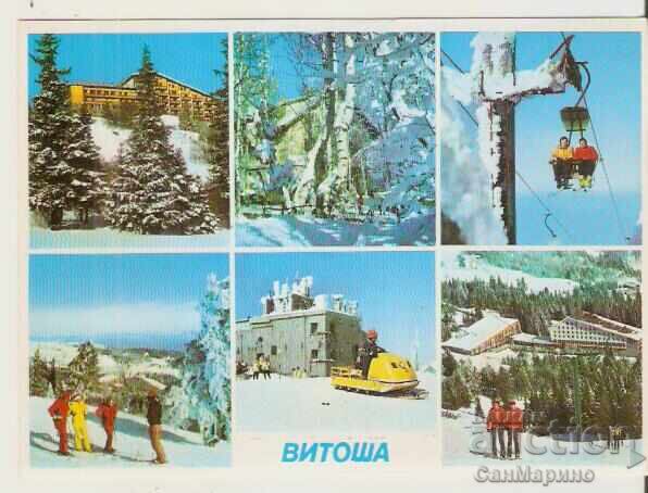 Картичка  България  София Витоша 3**