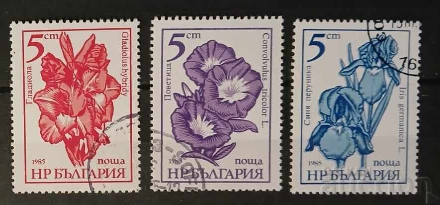 Βουλγαρία 1985 Φλόρα/Λουλούδια Βουλγαρία 1985 Φλόρα/Λουλούδια