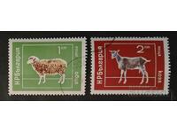 Βουλγαρία 1974 Φαύνα