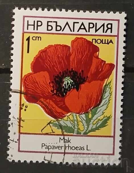 Βουλγαρία 1973 Φλόρα/Λουλούδια