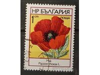 Βουλγαρία 1973 Φλόρα/Λουλούδια