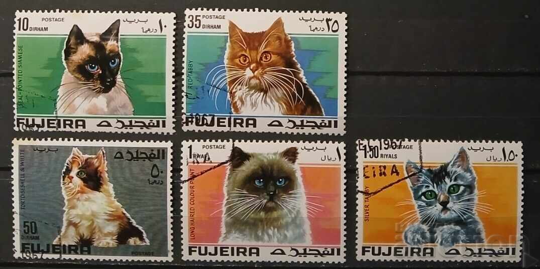 EAU/Fujairah 1967 Faună/Pisici