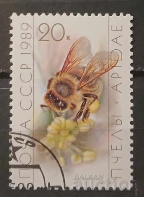 Σ.Σ.Σ.Ρ. 1989 Πανίδα Σ.Σ.Σ.Ρ. 1989 Πανίδα