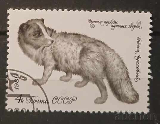 Σ.Σ.Σ.Ρ. 1980 Πανίδα Σ.Σ.Σ.Ρ. 1980 Πανίδα