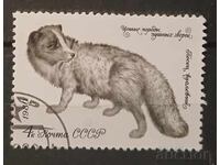 Σ.Σ.Σ.Ρ. 1980 Πανίδα